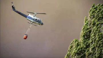 Crecen los incendios forestales en Neuquén: llegaron más bomberos y hay personas evacuadas